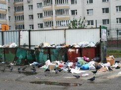 Кто может не платить за вывоз мусора рассказали в Министерстве ЖКХ Ставрополья 