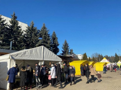 Торговых площадей с «отечественными» товарами стало больше на Ставрополье