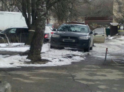 Паркуюсь как хочу: агрессивный автовладелец оставляет машину на клумбе в Ставрополе