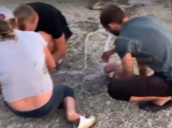 В мэрии Ставрополя попросили воздержаться от рыбалки на Комсомольском пруду