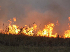 Чрезвычайную пожароопасность снова объявили на Ставрополье 