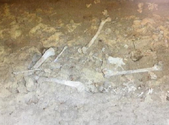 Человеческие останки в собственном водоеме обнаружил житель Ставрополья