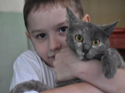 Серафим Румынин и его смышленый кот Серик