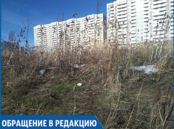 Гетто на окраине Ставрополя: заброшенный район погряз в темноте, клещах и горах мусора 