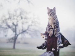 Во вторник в Ставрополе будет пасмурно 