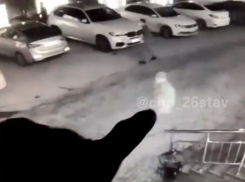 Новые подробности драки в кальянной на юго-западе Ставрополя