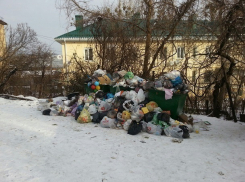 На плохую работу оператора по вывозу мусора пожаловались жители Ставрополя