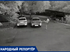 Скручивал зеркала и пинал машины: юный вандал в Ставрополе попал на видео