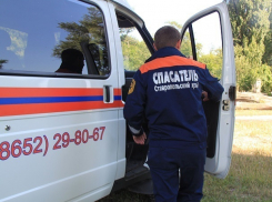 Змея заползла в одну из квартир многоэтажки на Ставрополье 
