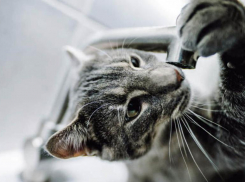 На Юге Ставрополя сегодня отключат воду