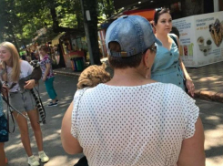 За фотосессию с дикими животными ответит администрация парка Победы в Ставрополе