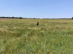 На выдуманных овощах глава фермерских хозяйств на Ставрополье обогатился на 1,6 миллиона