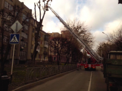 На улице Морозова в Ставрополе начали пилить деревья 