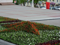 В Ставрополе появилась красная пятиконечная звезда из цветов