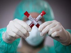 На Ставрополье еще четыре человека скончались от коронавируса