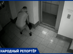 Жители Ставрополя сняли на видео соседа-мусорщика и выложили в сеть