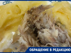 Рыба с личинками в обедах школьников возмутила родителей Ставрополья