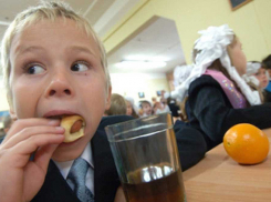 На Ставрополье прокуратура выявила нарушения при оказании услуг питания в школах