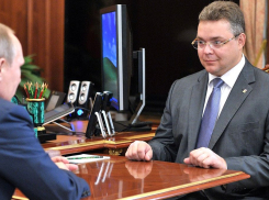 Владимирова в новом кремлевском рейтинге губернаторов перевели из хорошистов в троечники