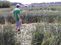 Загадочную инопланетную криптограмму обнаружил на полях преподаватель из Ставрополя