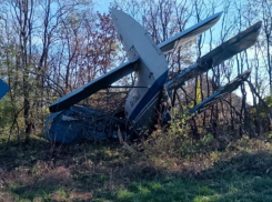 Массу нарушений выявили у авиакомпании после жесткой посадки АН-2 на Ставрополье