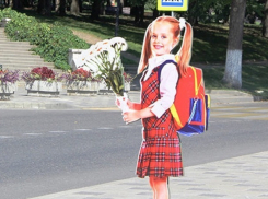 Картонную девочку-пешехода сломали вандалы спустя месяц после ее появления в Пятигорске