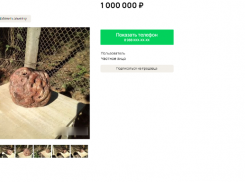 Столетний метеорит за миллион рублей продают на Ставрополье 