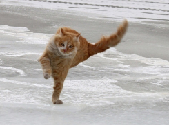 Гололед, снег и сильный ветер ожидаются на Ставрополье в среду