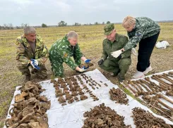 Останки бойцов Красной Армии обнаружили в окрестностях хутора Дыдымкина на Ставрополье