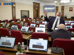 Осенний ребрендинг ждет думу Ставропольского края в 2026 году 