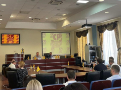 Бизнес-блогер, бухгалтер и предприниматели: эсеры представили кандидатов в думу Ставрополя