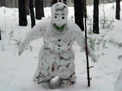 В лесах Ставрополя замечен «Снежный человек»