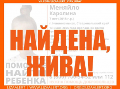 Пропавшую во время прогулки семилетнюю девочку объявили в розыск на Ставрополье
