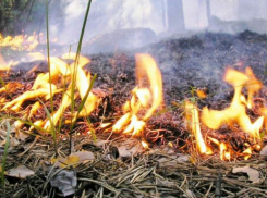 Ставропольские пожарные за сутки 40 раз выезжали бороться с горящим мусором