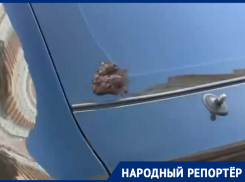 На утопающий в экскрементах дом на юге Ставрополя жалуются жильцы