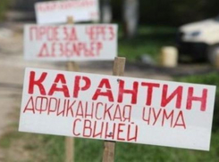 Ввоз свинины из Кабардино-Балкарии ограничат на Ставрополье  