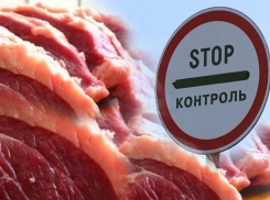 В Минеральных Водах более 150 килограммов мяса уничтожили из-за заражения африканской чумой