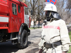 Дерево «взяло в заложники» молодого человека на Ставрополье