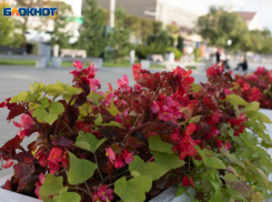 Град и ливень поглумятся над ставропольцами еще и 15 мая 