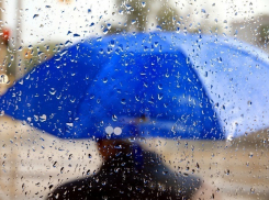 Дожди и сильный ветер вновь вернутся в Ставрополь 