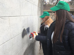 Ставропольская молодежь избавила городские улицы от наркотиков 