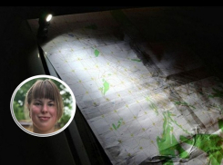 На Ставрополье ищут 16-летнюю Розу Андронову