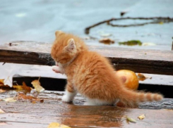 Во вторник в Ставрополе будет холодно и пасмурно