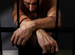 Главу фермерского хозяйства на Ставрополье признали виновным в мошенничестве на сумму более трех миллионов