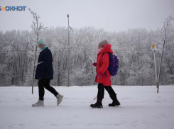 Таскала за волосы и нанесла синяки: на обвинение директора школы на Ставрополье ответили власти