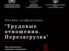 На Ставрополье пройдет онлайн-конференция «Трудовые отношения. Перезагрузка»