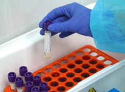 На Ставрополье антирекорд по коронавирусу — 137 заболевших за сутки