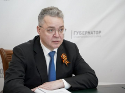 Миллион за смерть ребенка: власти Ставрополья озвучили принимаемые меры после гибели растерзанной собаками школьницы