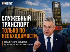 «Ситуация очень плохая»: ограничить служебный транспорт чиновникам ради экономии топлива призвали на Ставрополье