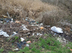 Жительница Ставрополя обнаружила кучу свалок в центре краевой столицы